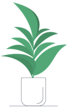 image of plant
