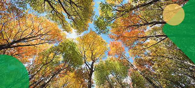 Keeping you informed