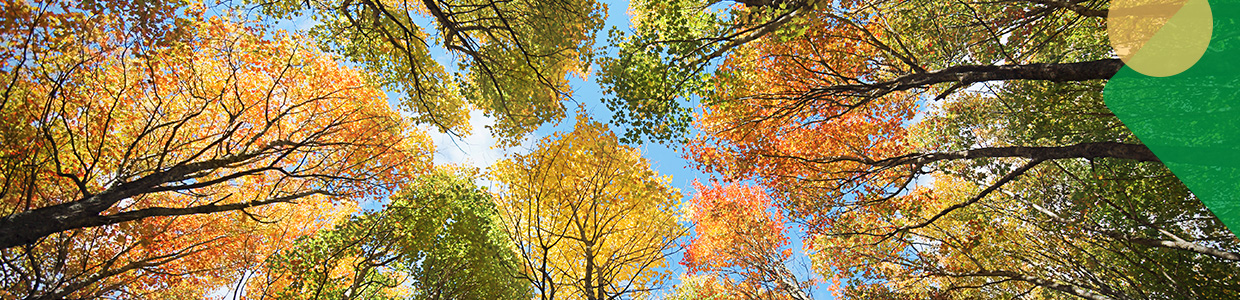 Keeping you informed