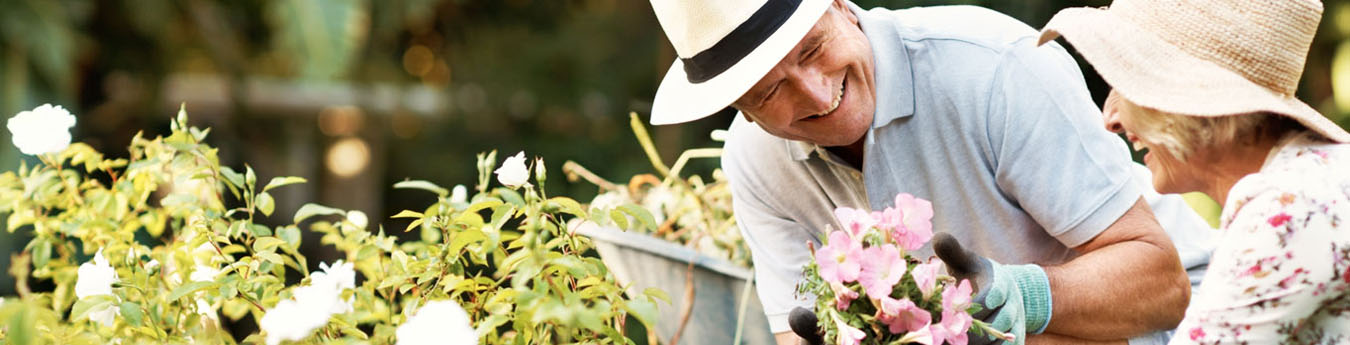 Your options for early retirement