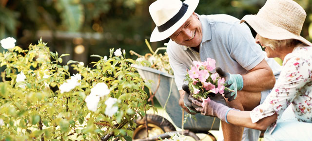 Your options for early retirement